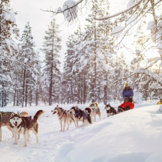tourhub | Nordic Unique Travels | 5-Day Wild Lapland Experience 