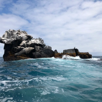 tourhub | G Adventures | Galápagos — South & East Islands aboard the Eden 