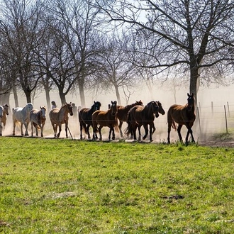 tourhub | Signature DMC | 4-Days Discovery of Buenos Aires 