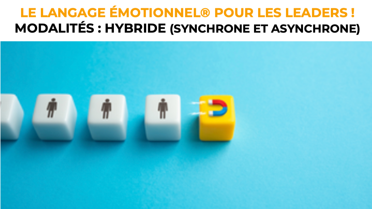 Représentation de la formation : P6. Le Langage Émotionnel® pour les leaders ! - hybride-