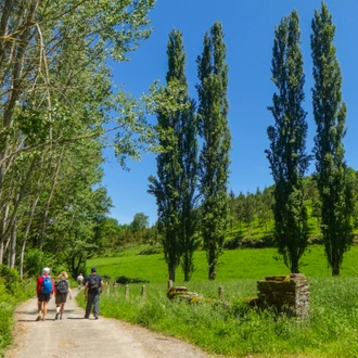 tourhub | Exodus Adventure Travels | Camino de Santiago Trek 