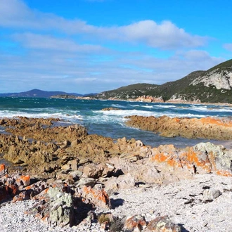 tourhub | Intrepid Travel | Best of Tasmania's Tarkine & Cradle Mountain 