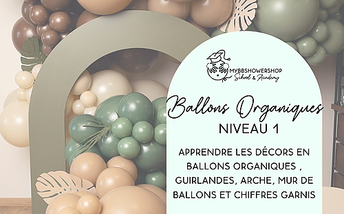 Représentation de la formation : #04 Ballons : Ballons organiques - Niveau 1