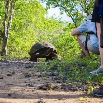 tourhub | Ecuador Galapagos Travels | 7 Days Galapagos Multisport Adventure Tour 