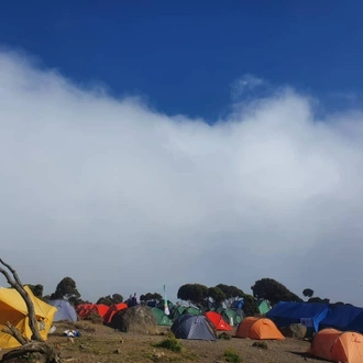 tourhub | Horizon Seeker Adventure | 6 days Kilimanjaro Machame route Group Joining 