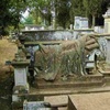 Medea Cemetery, Graves [3], (Medea, Algeria, 2014)