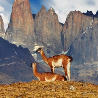 4-Day Trekking Experience at Torres del Paine from Puerto Natales