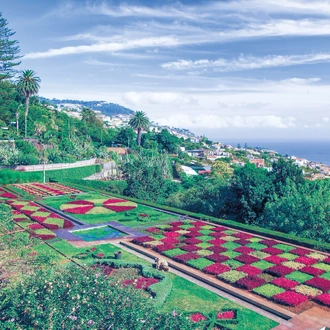 tourhub | Brightwater Holidays | Gardens of Madeira 733 