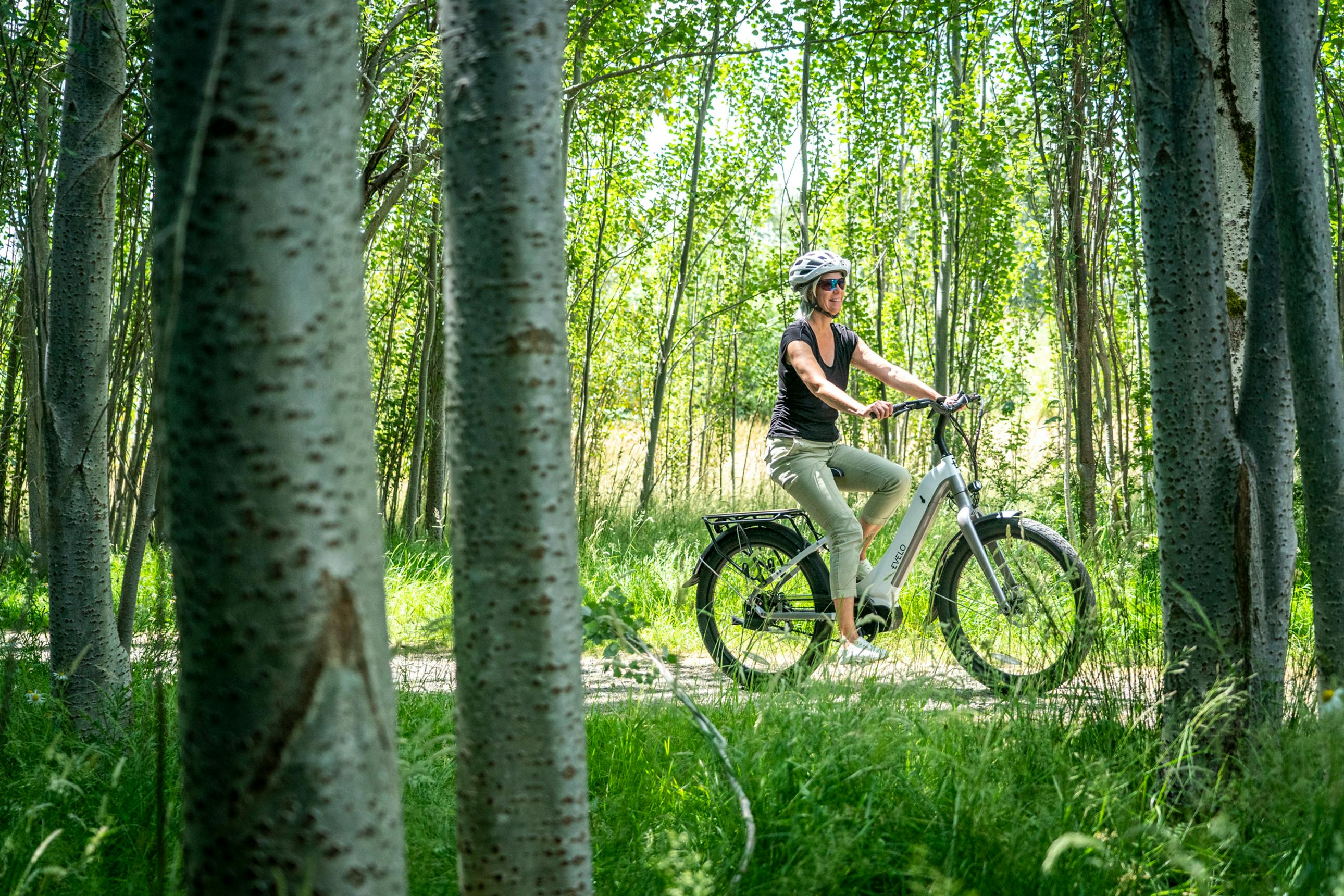 e-Bike on the road in the forest