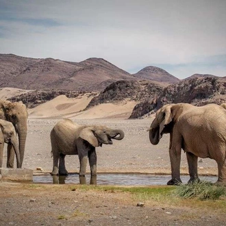 tourhub | Wild Frontiers | Namibia: Sands of Time 