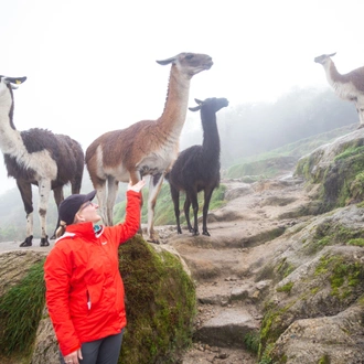 tourhub | Alpaca Expeditions | Short Inca Trail & Rainbow Mountain 6D/5N 