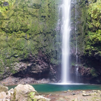 tourhub | Exodus Adventure Travels | Marvels of Madeira Walk 