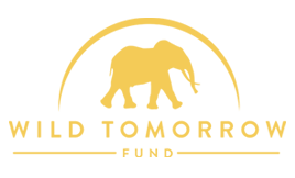 Wild Tomorrow logo