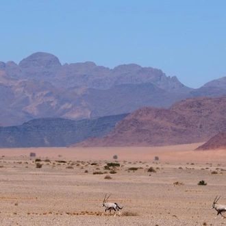 tourhub | Chameleon Safaris Namibia | 6 Day Sossusvlei, Fish River Canyon & Kolmanskop 