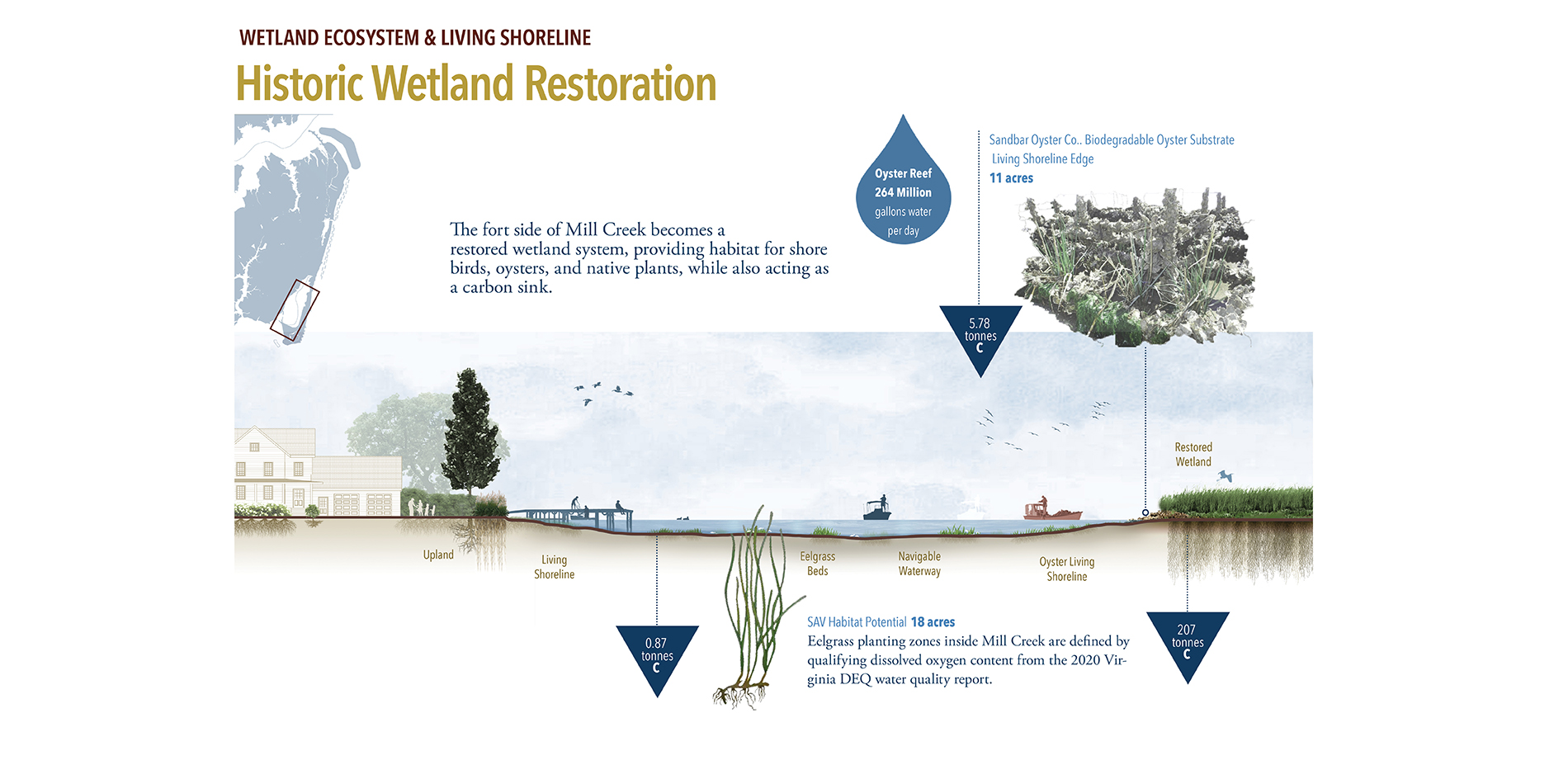 Historic Wetland Restoration