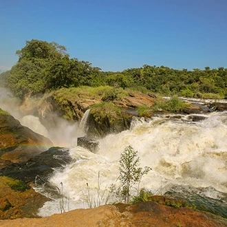 tourhub | Ecovic Tours and Travel Uganda | 10-Days Mountain Gorillas, Chimps & Uganda Wildlife Safari 