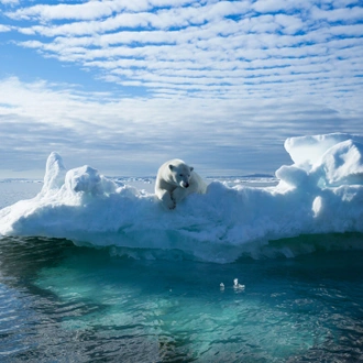 tourhub | Intrepid Travel | Spitsbergen Highlights: Journey into the Arctic Wilderness 