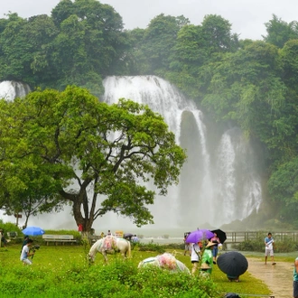 tourhub | Mr Linh's Adventures | Adventure Tour to Ban Gioc Waterfall - Ba Be Lake 3 days 2 nights 