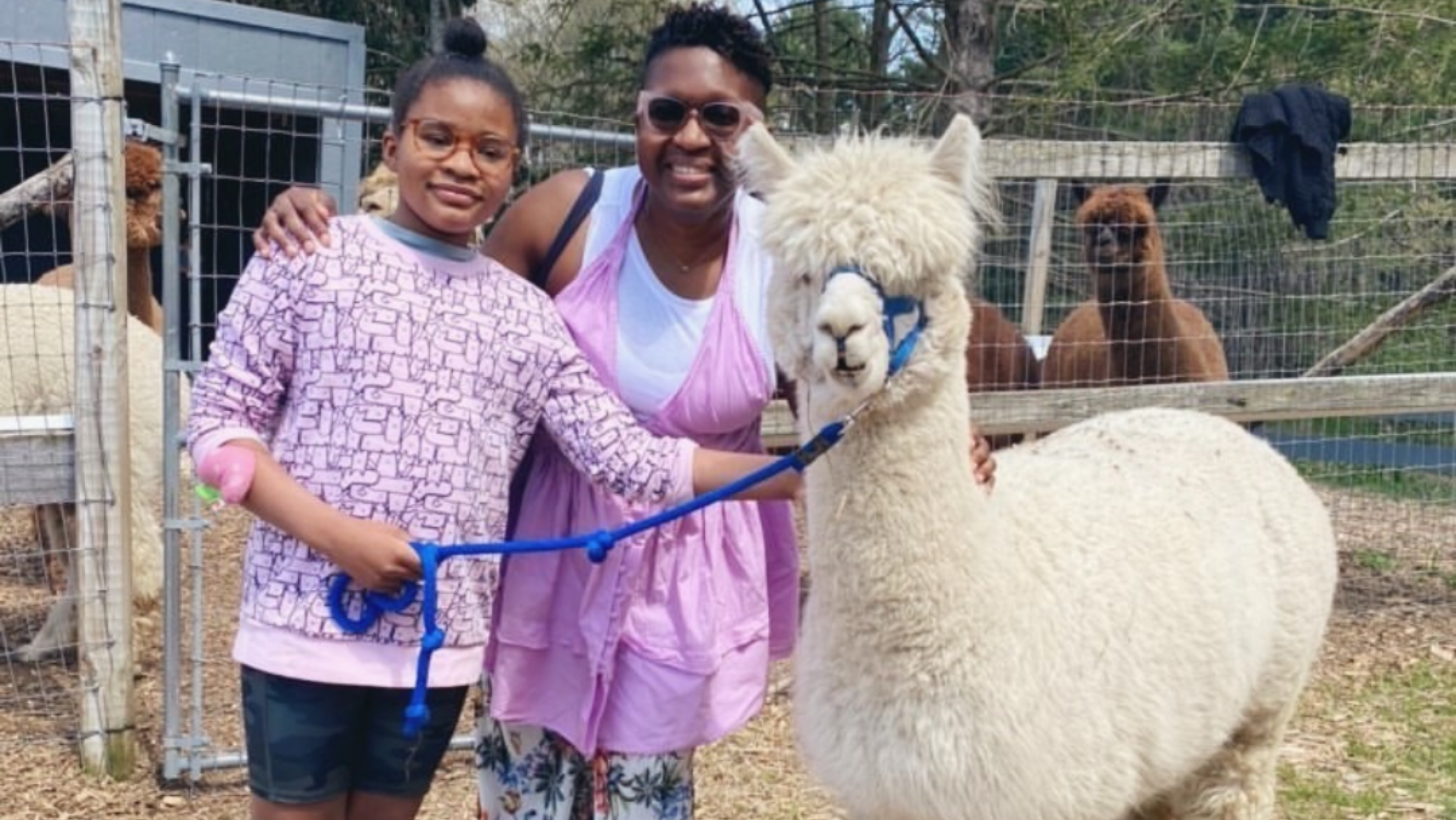 Guided Lilymoore Alpaca Farm Tour