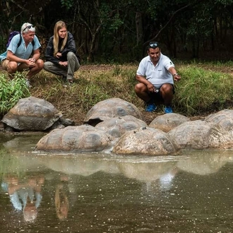 tourhub | Indus Travels | Best of Ecuador and Galapagos Islands 