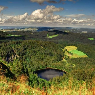 tourhub | National Holidays | Christmas in the Black Forest 
