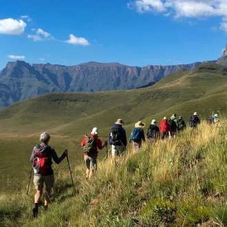 tourhub | G Adventures | Active South Africa: Kruger Safari & Tugela Falls 