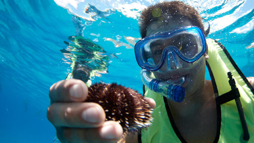 West Dolphin Snorkel Sail