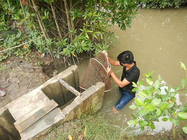 Direct Seafoods extensive prawn farm in Vietnam (Credit Direct Seafoods) 