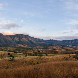 tourhub | Intrepid Travel | Walk Queensland's Scenic Rim 