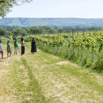 tourhub | Travel Editions | Food and Wine in Sussex with Valentina Harris 