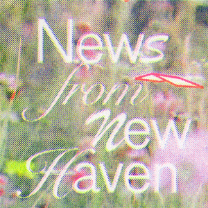 Click to read the Jan 2023 News from New Haven mailing