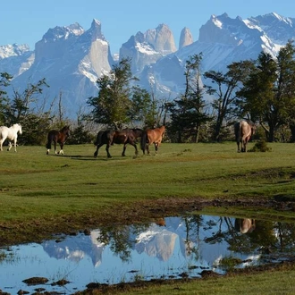 tourhub | Explore! | Hiking in Patagonia - Glaciers & Torres del Paine 