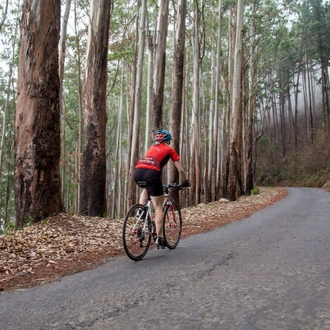 tourhub | SpiceRoads Cycling | Sri Lanka Tip to Tip by Road Bike 