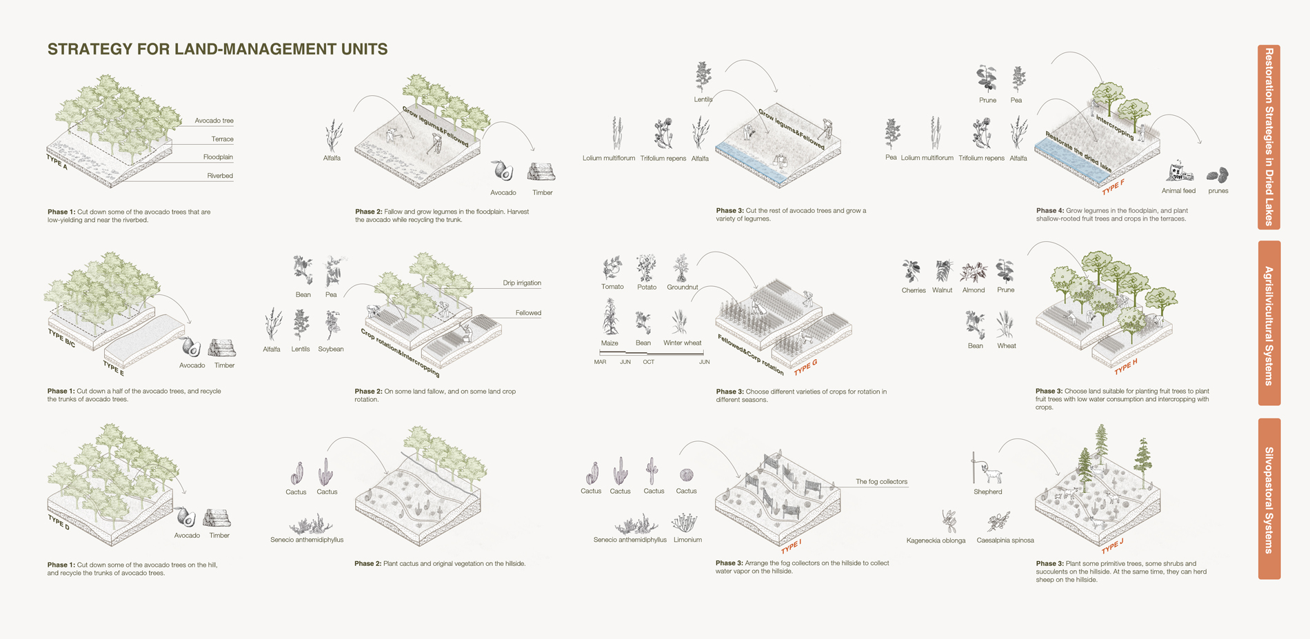 Land restoration strategy