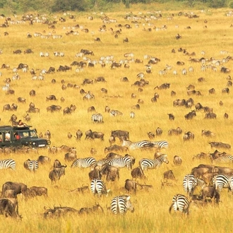 tourhub | Alaitol Safari | Tanzania Camping Safari-Northern Circuit 