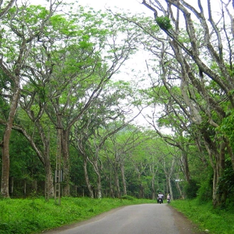 tourhub | Bonzer Tour | Cycling in the Northern Vietnam 