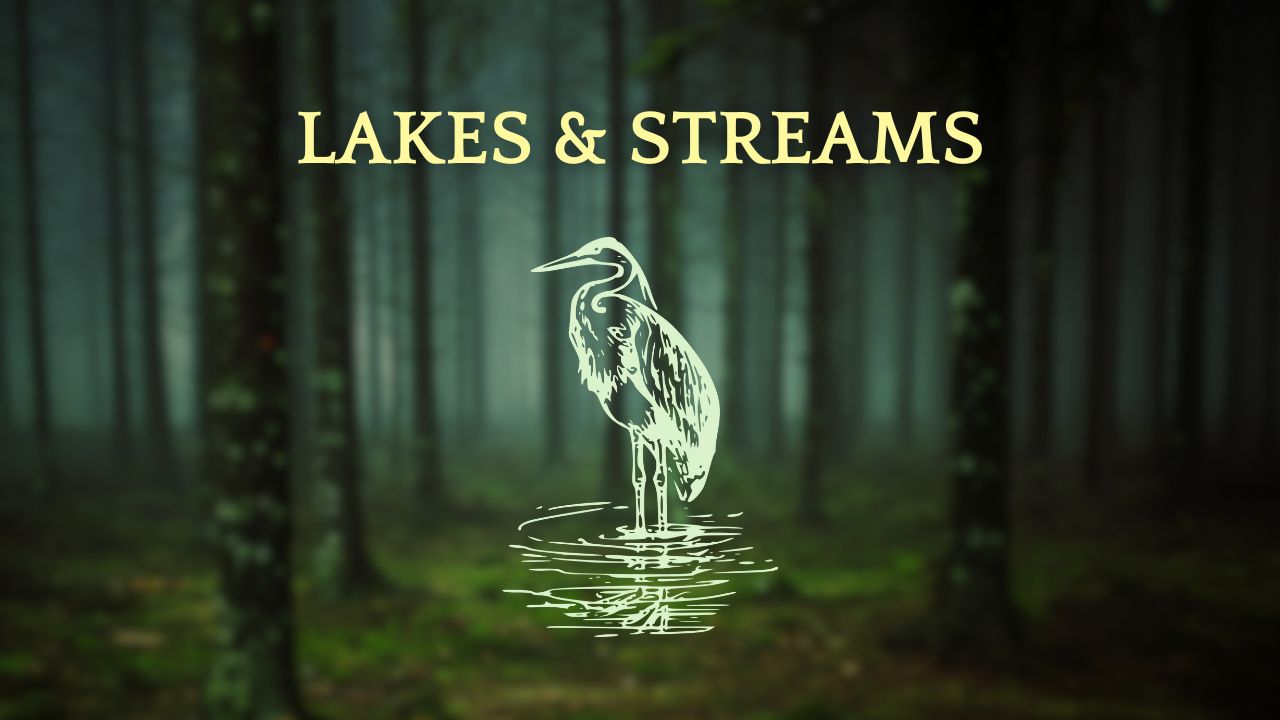 Water bodies are regularly given animacy as portals to the other-world where sacrifices can be given and alluring beings live. Islands therefore also become important as land across the barrier to the other-world. We will look at how people have held such places sacred in the Nordic region.