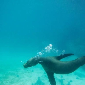 tourhub | G Adventures | Galápagos Land & Sea — Central & South Islands aboard the Yolita 