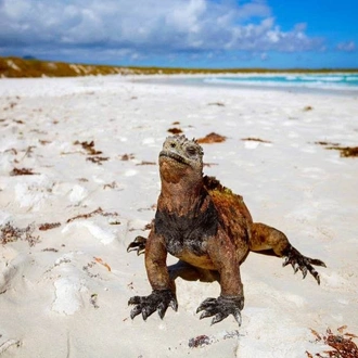 tourhub | Today Voyages | Ecuador and Galapagos : Drive & Discover 