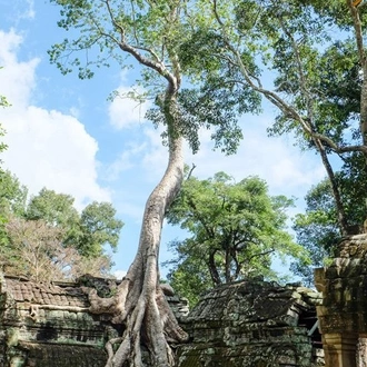 tourhub | SpiceRoads Cycling | Angkor Experience 