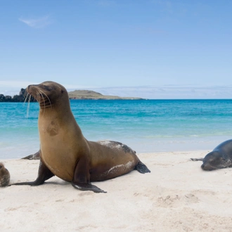 tourhub | Exodus Adventure Travels | Galapagos & Amazon (Archipel I) 