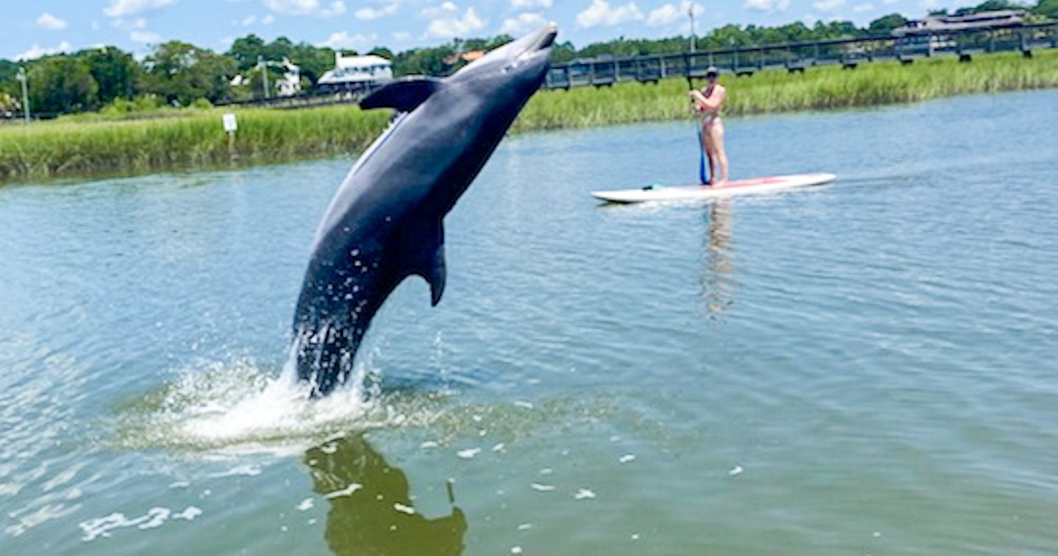 Rentals: Shem Creek Kayak and Paddleboard