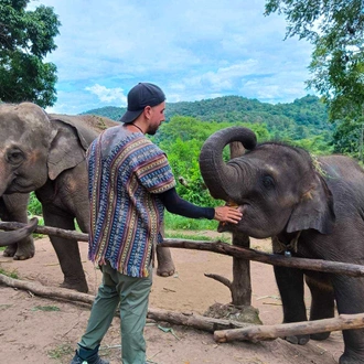 tourhub | Backpacking Tours | Volunteering with Elephants: Thailand 