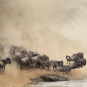 tourhub | Alaitol Safari | The Great Migration Safari 