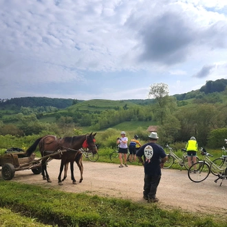 tourhub | Exodus Adventure Travels | Cycle Romania 