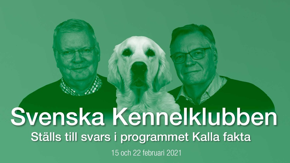 SKK ställs tillsvars i TV4:as Kalla fakta