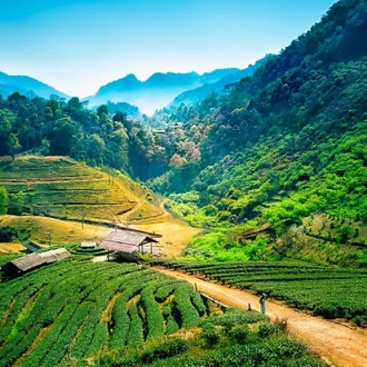 tourhub | Bravo Indochina Tours | Amazing Thailand Discovery in 12 Days 