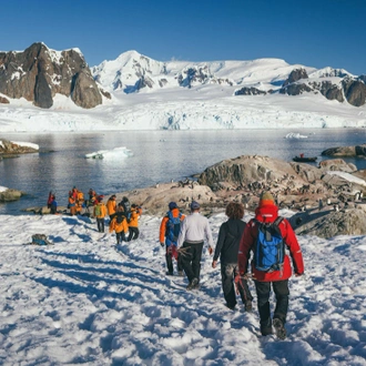 tourhub | Intrepid Travel | South Georgia and Antarctic Peninsula: Penguin Safari  