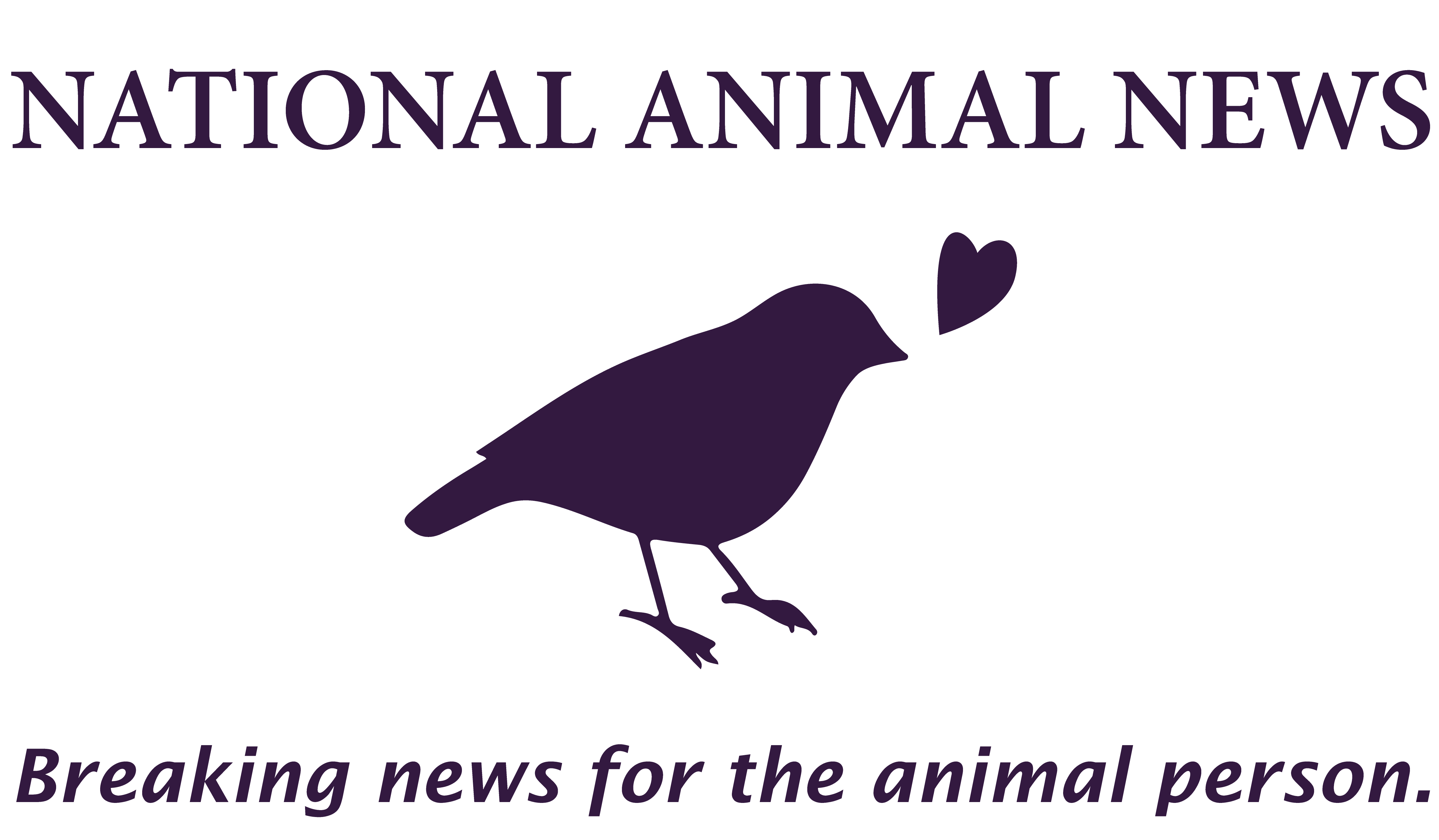 National Animal News Support Campaign Dog Cat red box Animal Victory