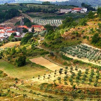 tourhub | The Natural Adventure | Trails of Istria Walking Break 